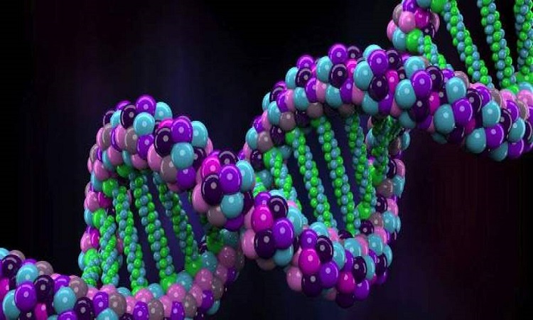 Μυστική συνάντηση επιστημόνων στο Χάρβαρντ για δημιουργία συνθετικού ανθρωπίνου γονιδιώματος