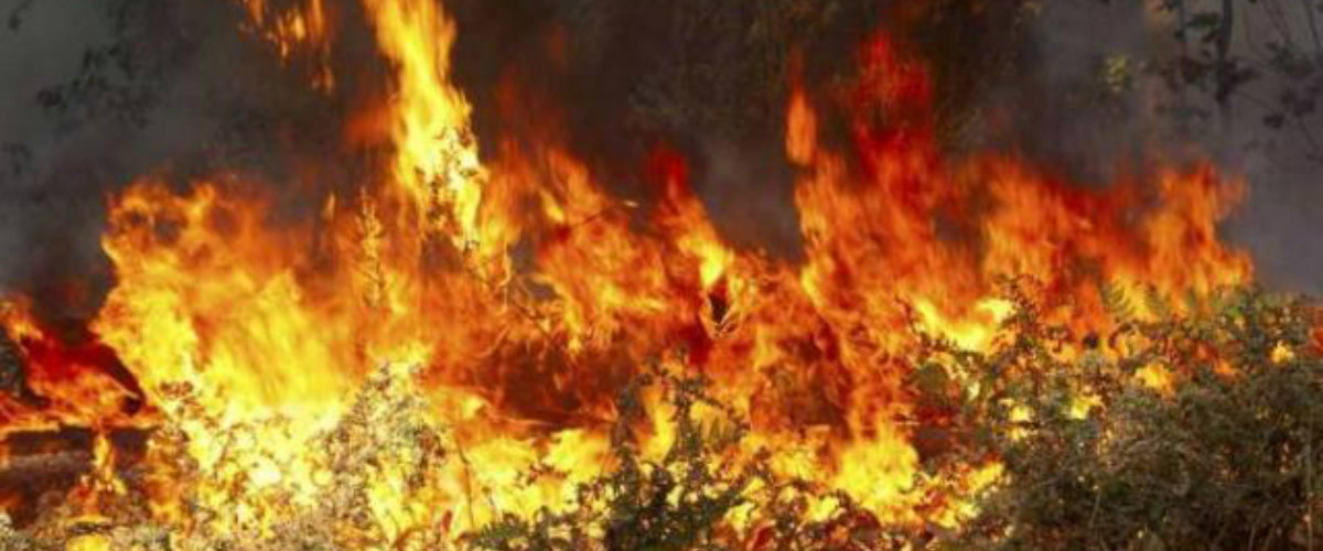 Πάλι έτρεχε να σβήσει φωτιές από καψάλισμα χόρτων η Πυροσβεστική – Έκκληση προς το κοινό
