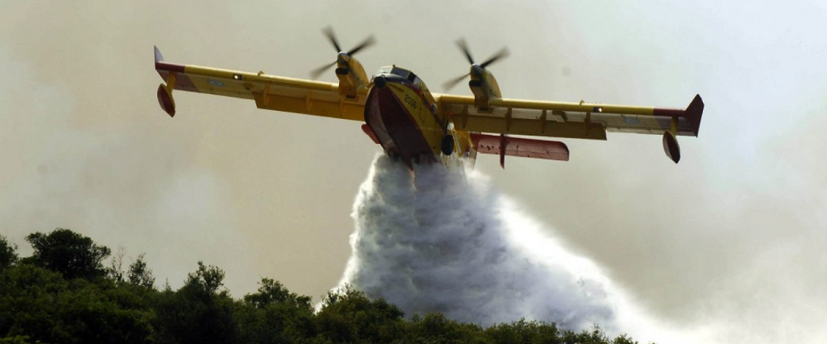 Τμήμα Δασών: Yπό έλεγχο το δυτικό μέρος της πυρκαγιάς στην περιοχή Ευρύχου – Πλατάνια