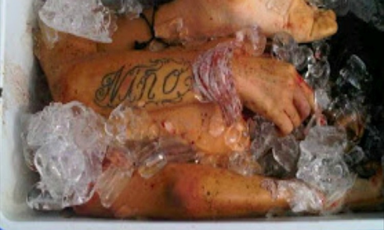 ΕΙΚΟΝΑ-ΣΟΚ: Βρέθηκε διαμελισμένο πτώμα γυναίκας σε πλαστικό ψυγείο!
