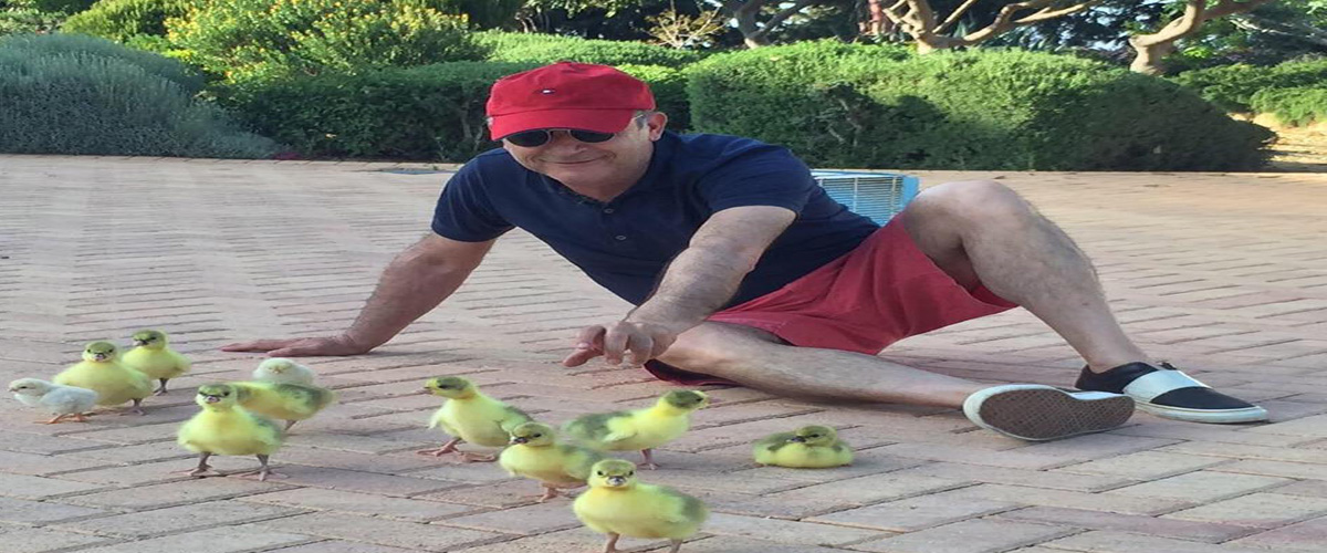 Αβέρωφ Αλεπού… Ορίστε πως δικαιολόγησε την φωτογραφία με τα πουλιά που ανάρτησε ο Πρ. του ΔΗΣΥ στο Twitter