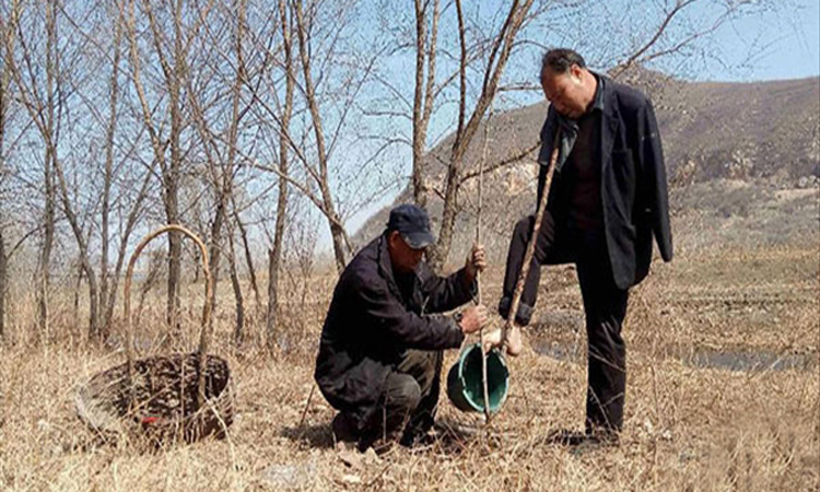 Μαθήματα ζωής: Ένα τυφλός και ένας ανάπηρος φύτεψαν 10.000 δέντρα