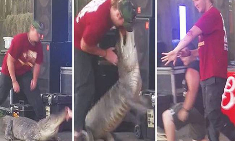 ΣΚΛΗΡΟ βίντεο: Κροκόδειλος επιτέθηκε στον εκπαιδευτή του κατά τη διάρκεια ενός show!