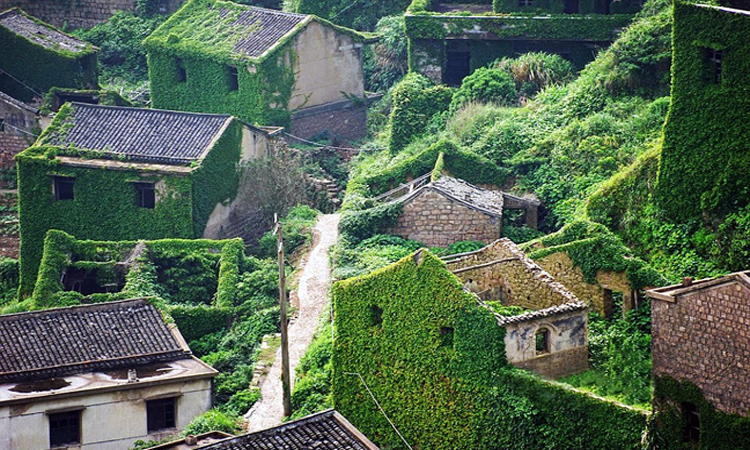 Η κινέζικη πόλη που καλύφθηκε από το πράσινο της φύσης (Φώτο)