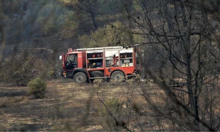 Κρανίου τόπος – Απολογισμός: Κάηκαν 5.000 στρέμματα στη Χαλκιδική