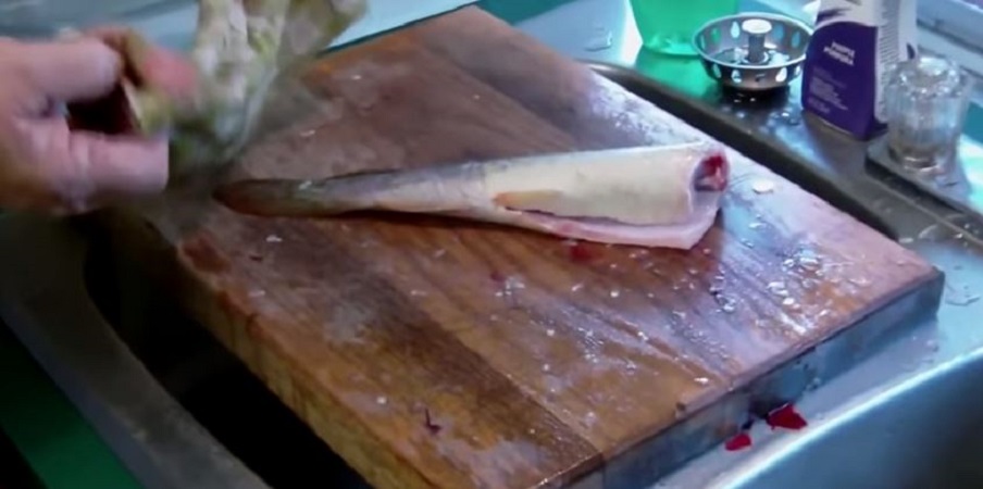 Δεν θέλει να το μαγειρέψουν- Ακέφαλο ψάρι κάνει επίθεση σε γυναίκα (Βίντεο)