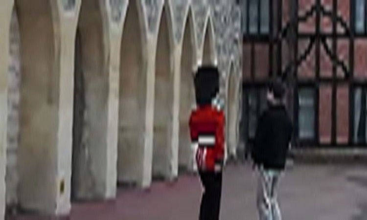Αυτό πρέπει να το δειτε! Τουρίστας παρενοχλεί την Βασιλική Φρουρά- Δείτε τι παθαίνει!!! (ΒΙΝΤΕΟ)