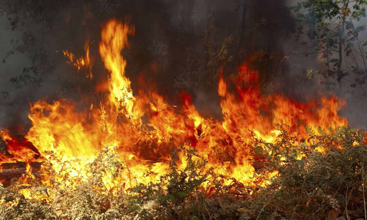 Υπό έλεγχο τέθηκε πυρκαγιά στην τοποθεσία Ατσάς στη Λευκωσία