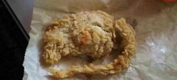 Αυτή είναι η αλήθεια: Τι έδειξε ο εργαστηριακός έλεγχος για τον «τηγανιτό αρουραίο» των KFC;