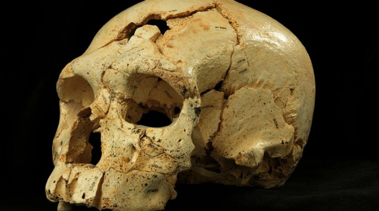 Το αρχαιότερο έγκλημα στον κόσμο έγινε πριν από... 430.000 χρόνια!