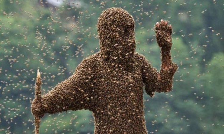 Έζησε τον απόλυτο εφιάλτη! Τον τσίμπησαν 500-1000 μέλισσες αλλά επέζησε!
