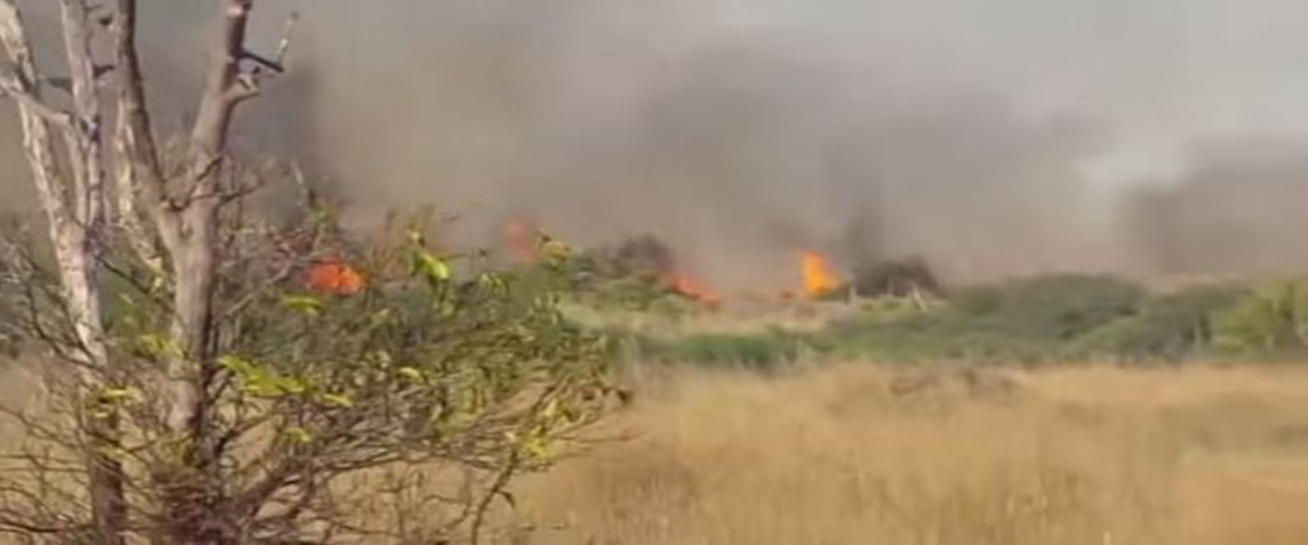 To πρώτο βίντεο μέσα από την περίκλειστη Αμμόχωστο την ώρα της φωτιάς