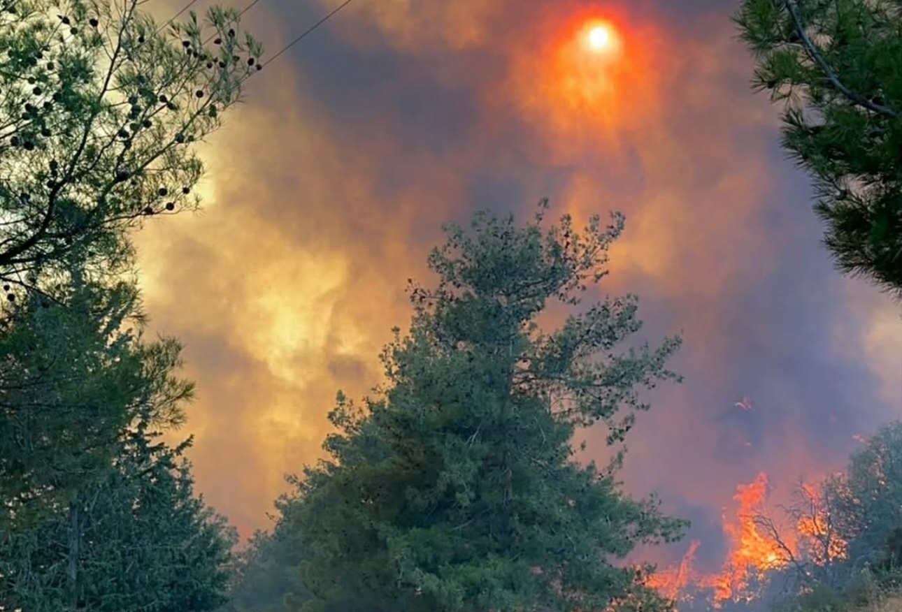 Η υπεραγορά Άλφαμεγα στην Τριμίκλινη προσφέρει είδη πρώτης ανάγκης - «Στεκόμαστε δίπλα στους ανθρώπους που δίνουν μεγάλη μάχη»