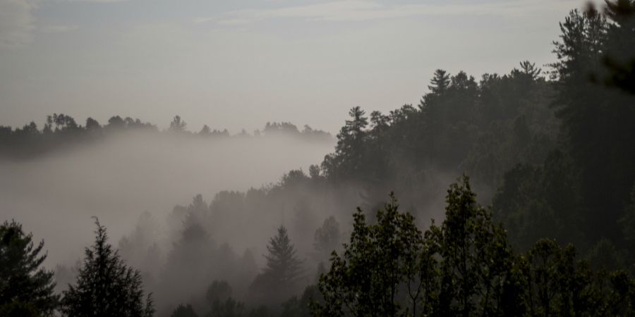 ΤΡΟΟΔΟΣ: Στα «τυφλά» οι οδηγοί – Πυκνή ομίχλη στα ορεινά