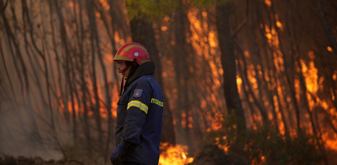 Ανεξέλεγκτη φωτιά στα Βίλια: Τεράστιο το πύρινο μέτωπο - Μάχη με τις φλόγες δίνει η Πυροσβεστική - ΒΙΝΤΕΟ 