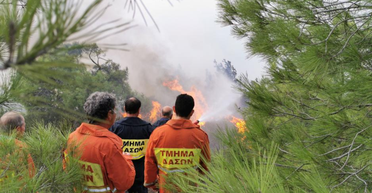 Τμ.Δασών: Εκκληση για αποφυγή ενεργειών που μπορεί να προκαλέσουν πυρκαγιά