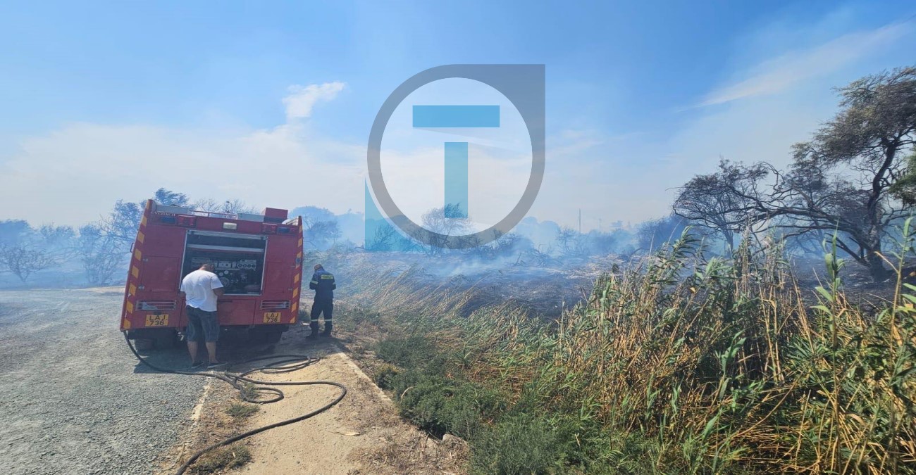Πυρκαγιά στην αλυκή Λάρνακας: Ενισχύονται οι πυροσβεστικές δυνάμεις – Στο σημείο σπεύδουν και εθελοντές - Φωτογραφίες και Βίντεο