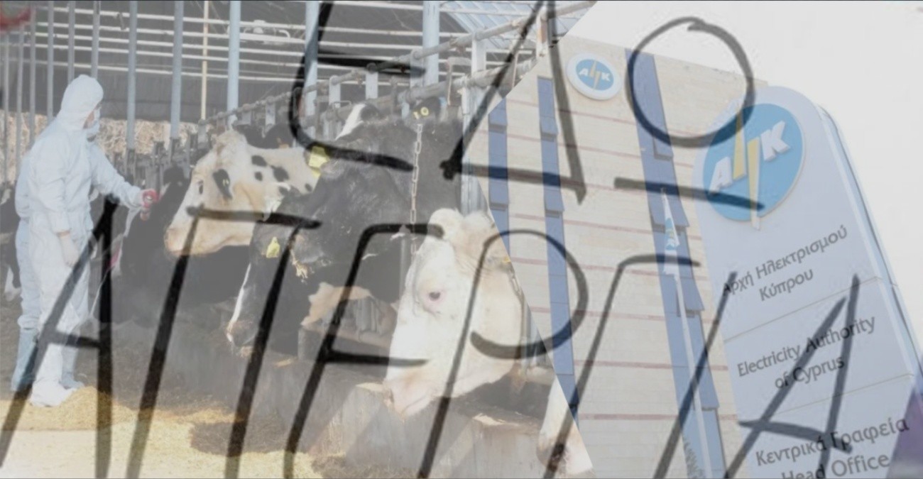 Σε «κλοιό» απεργιών η Κύπρος: Στους δρόμους οι Κτηνοτρόφοι, χωρίς εξυπηρέτηση στην ΑΗΚ – Πώς επηρεάζονται οι πολίτες