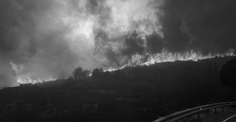 Φτάνει πια με τα κροκοδείλια δάκρυα – Φταίτε όλοι