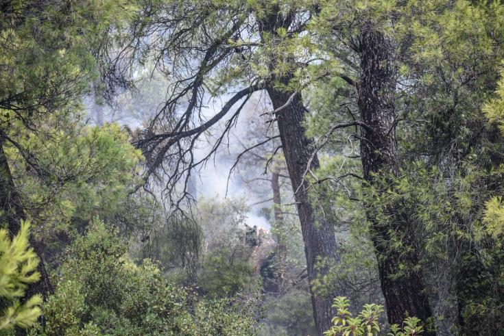 Σε επίπεδο «Κόκκινου Συναγερμού» παραμένει ο κίνδυνος δασικών πυρκαγιών 