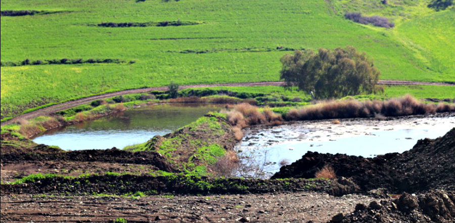ΚΥΠΡΟΣ: Χωρίς πόσιμο νερό εδώ και 10 ημέρες η Ορούντα - Καταγγέλουν κινδύνους μόλυνσης λόγω χοιροστασίων