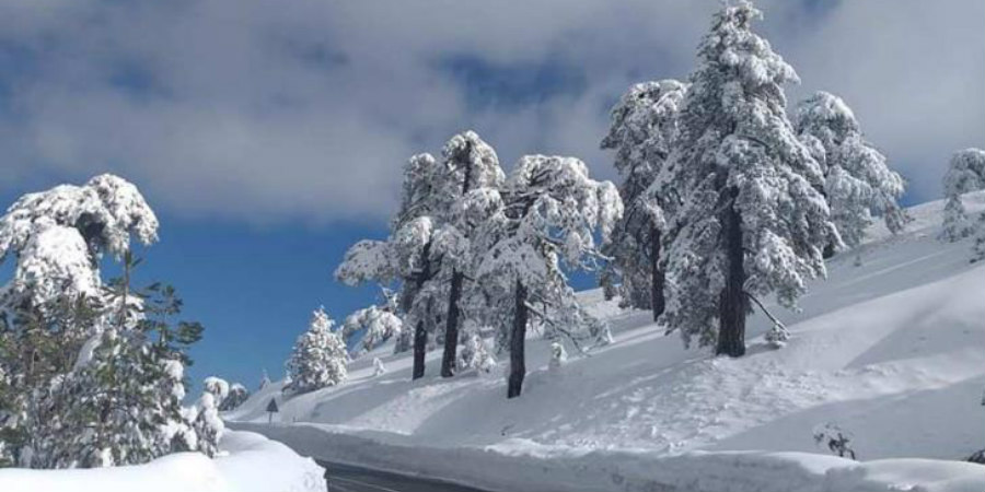Συνεχίζει η παγωνιά στην Κύπρο - Δεν σταματά να πέφτει χιόνι στα ορεινά  