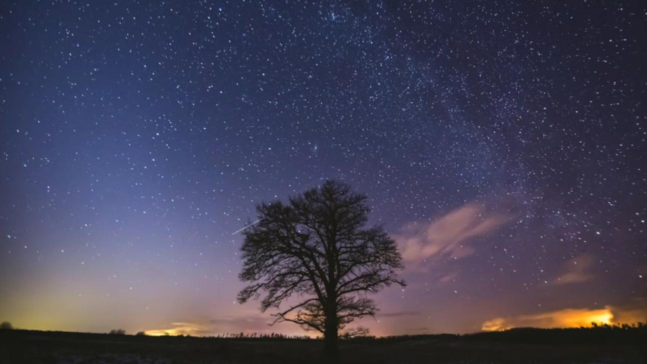 Τα τρία πιο τυχερά ζώδια της εβδομάδας - Θα δουν επιτέλους τις προσπάθειές τους να αποδίδουν