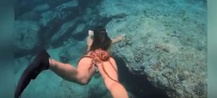 Χταπόδι γραπώνεται από τον γλουτό πανέμορφης κολυμβήτριας – Το βίντεο έγινε viral! 