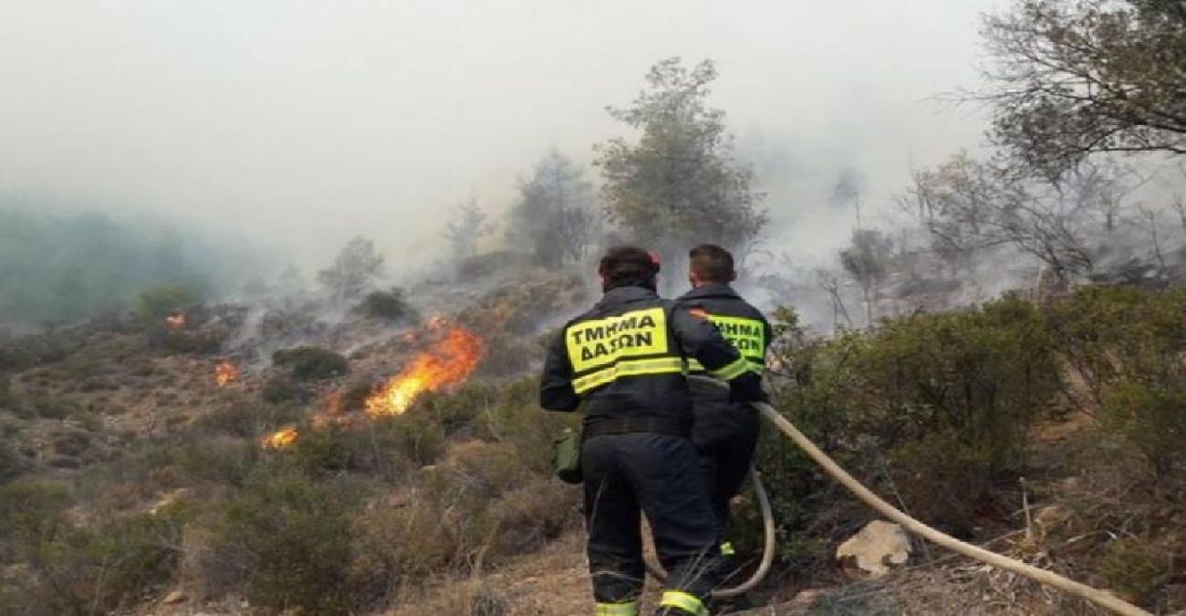 Υπό έλεγχο δασική πυρκαγιά στα Κελλιά Λάρνακας - Τι άφησε πίσω της