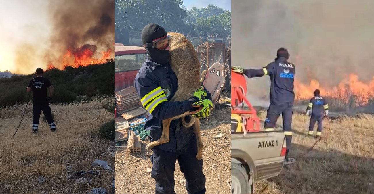 Οι αφανείς ήρωες στη μάχη με τις φλόγες: Οι εθελοντικές ομάδες που γλίτωσαν χωριά στην Κύπρο - Φωτογραφίες