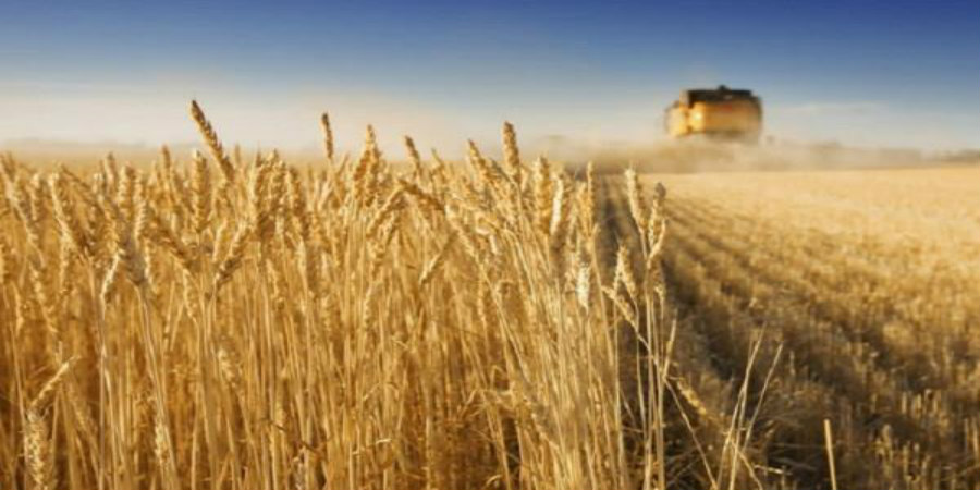 Ουκρανία και Ρωσία υπέγραψαν συμφωνία για την εξαγωγή σιτηρών