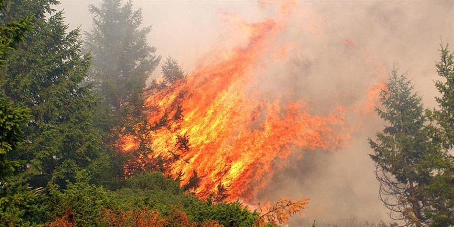 ΛΕΜΕΣΟΣ: Ανεξέλεγκτη μαίνεται η φωτιά - Επεκτάθηκε στο κρατικό δάσος της Λεμεσού 