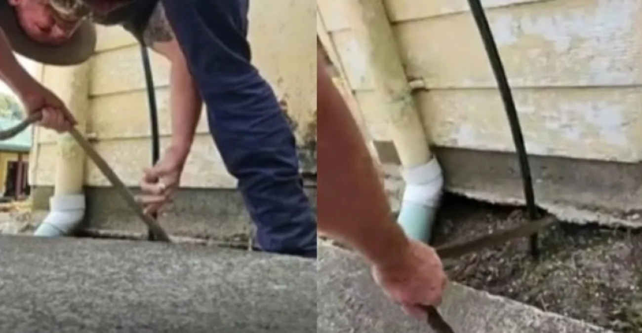Μόνο στην Αυστραλία... Άνδρας έπιασε με τα χέρια του δηλητηριώδες φίδι που κρύβονταν στο σπίτι του