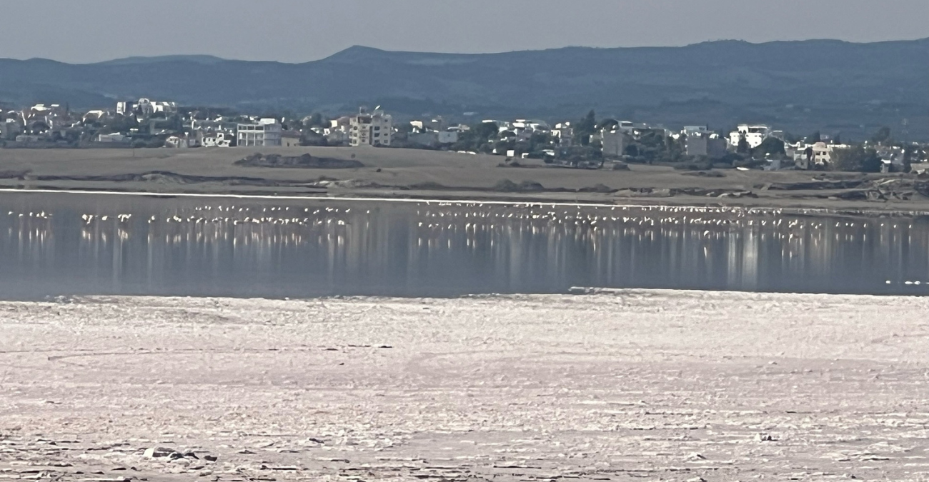 Ένα σπάνιο θέαμα στην Αλυκή Λάρνακας: Μαγευτική αντανάκλαση μετά τη φθινοπωρινή βροχή - Φωτογραφία