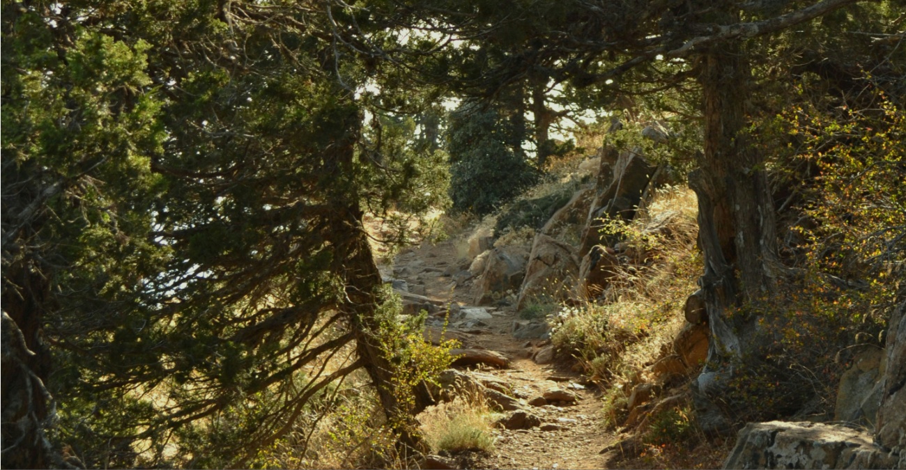 Ώρα για εξόρμηση: Άνοιξαν ξανά «Άρτεμις», «Καληδόνια» και άλλα 13 μονοπάτια