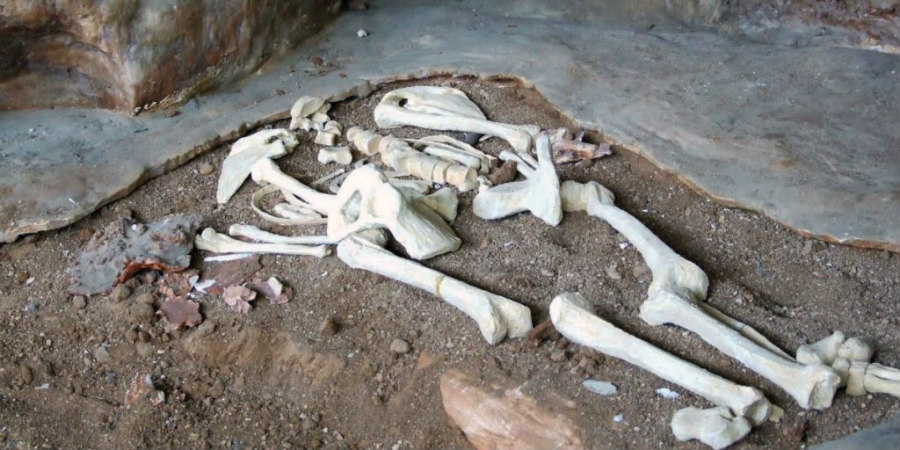 ΕΠ. ΛΕΜΕΣΟΥ: Βρήκαν ανθρώπινο σκελετό σε βάθος ενός μέτρου – Μυστήριο και εκτιμήσεις
