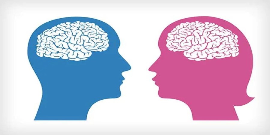 Τελικά υπάρχουν διαφορές ανάμεσα στον γυναικείο και τον ανδρικό εγκέφαλο; - Τι υποστηρίζει νέα μελέτη