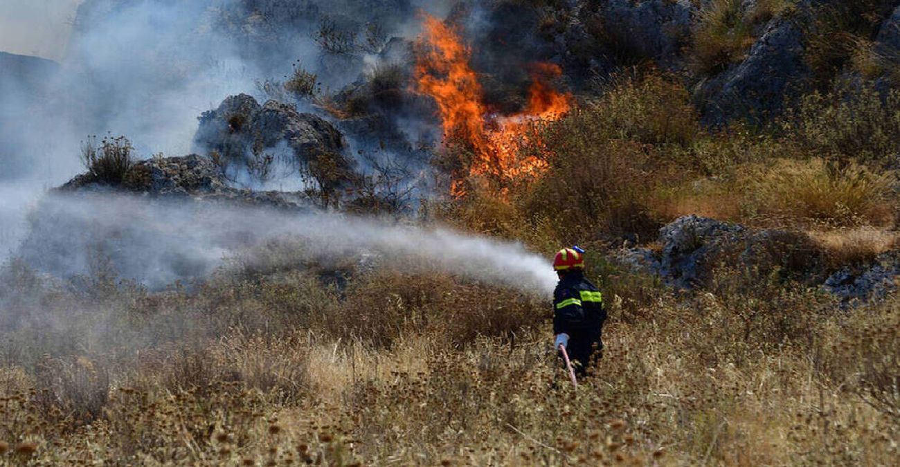 «Καμπανάκι» Διευθυντή Τμήματος Δασών ενόψει καλοκαιριού – «Θα είναι πιο δύσκολη η αντιμετώπιση δασικών πυρκαγιών» - Ο λόγος