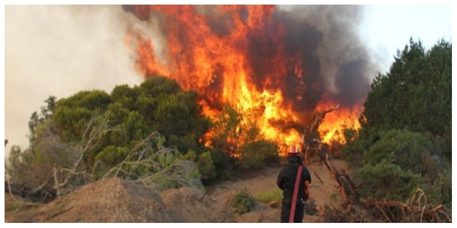 ΕΚΤΑΚΤΟ: Πυρκαγιά στα Λεύκαρα - Πολίτες έτρεξαν να την σβήσουν μέχρι να έρθει η Πυροσβεστική