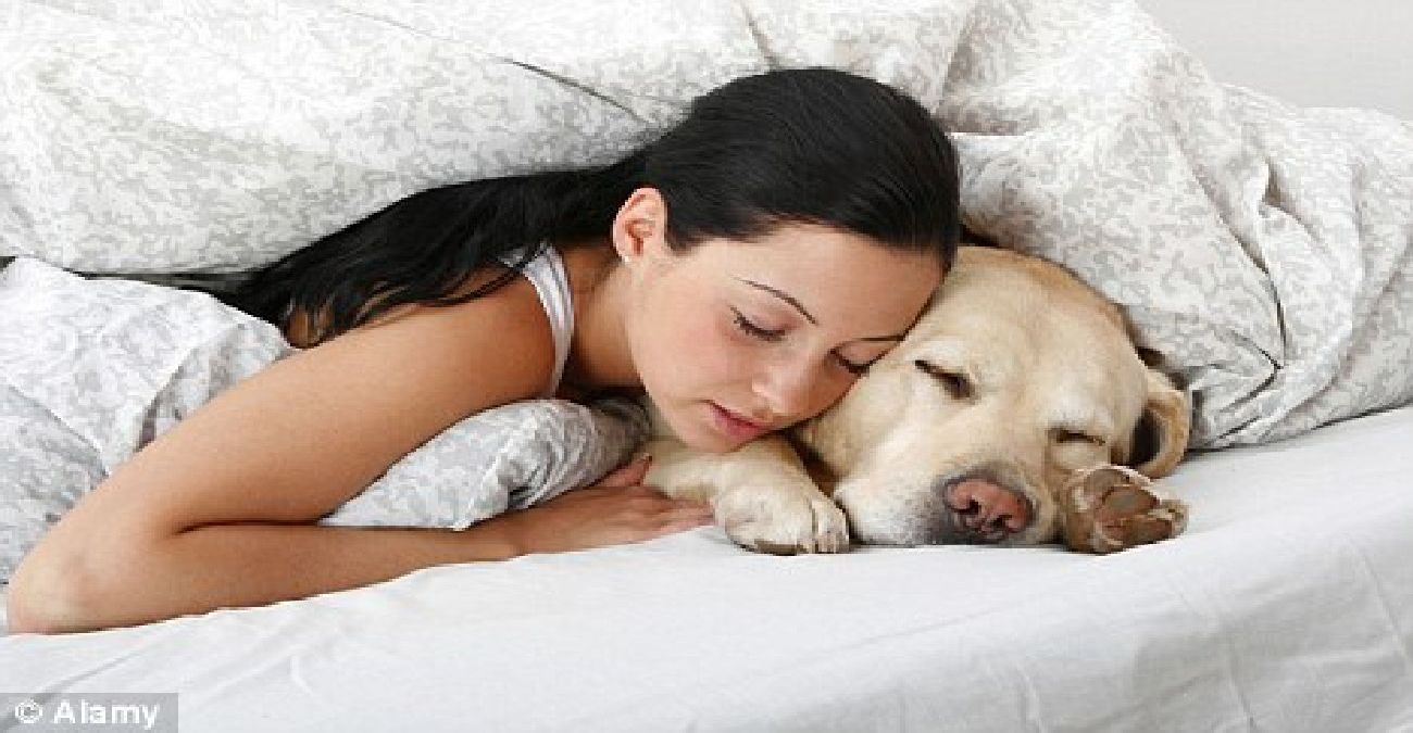 Κοιμάστε με τον σκύλο σας αγκαλιά; Πόσο καλός είναι ο ύπνος σας – Τι δείχνει έρευνα