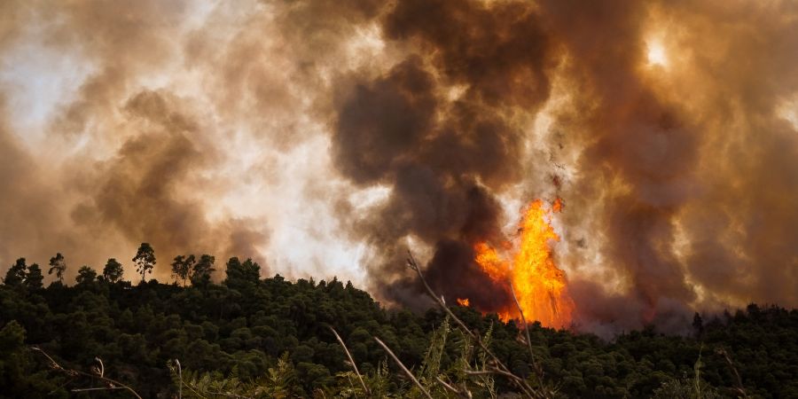 ΠΑΦΟΣ: Πυρκαγιά κατακαίει ξηρή βλάστηση