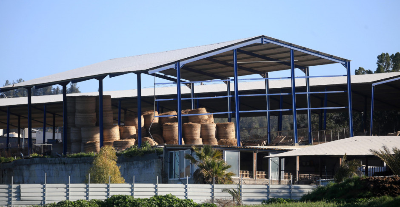 Σφραγίζονται κτηνοτροφικές περιοχές στον Δήμος Δρομολαξιάς – Μενεού: Δεξαμενές στις εισόδους και μπλόκα πρόσβασης λόγω αφθώδους πυρετού