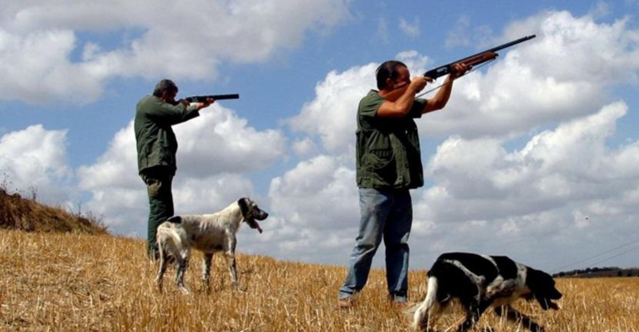 Πρεμιέρα κυνηγίου με γκρίνια: «Κάθε πέρσι και καλύτερα» – Λίγο θήραμα, λιγοστεύουν οι κυνηγότοποι