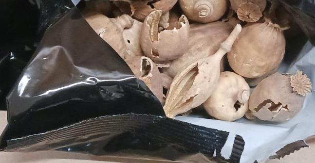 Εντοπίστηκε νέα μεγάλη ποσότητα ναρκωτικών παπαρούνας - Στα χέρια της Αστυνομίας τρία πρόσωπα -Δείτε φωτογραφίες 