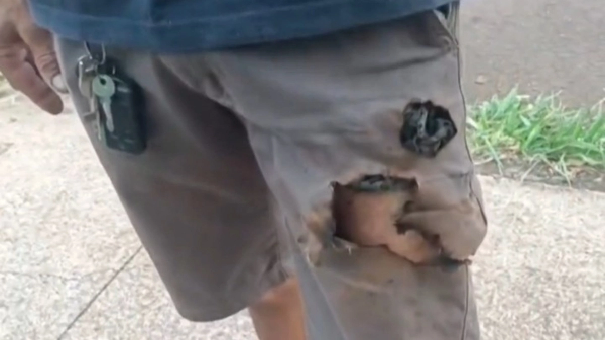 Video: Του επιτέθηκαν άγρια σκυλιά και τον έσωσε το... κινητό του τηλέφωνο 