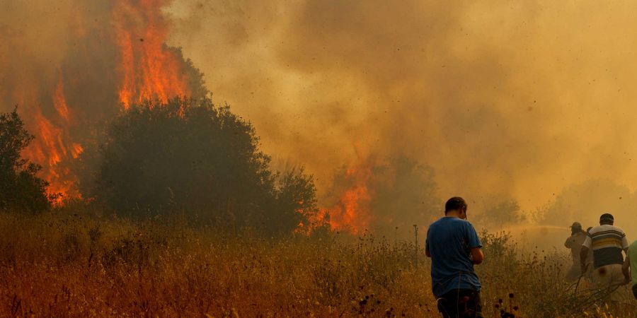 ΛΕΥΚΩΣΙΑ: Δασική πυρκαγιά απείλησε το δάφος Αδελφοί