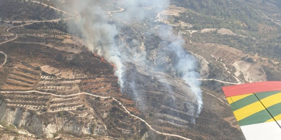 Πυρκαγιά στη Λεμεσό: Ευχαριστίες σε πολίτη για την πληροφορία - «Δεν χάθηκε χρόνος» - Κάηκαν εκτάρια από δέντρα - Φωτογραφίες