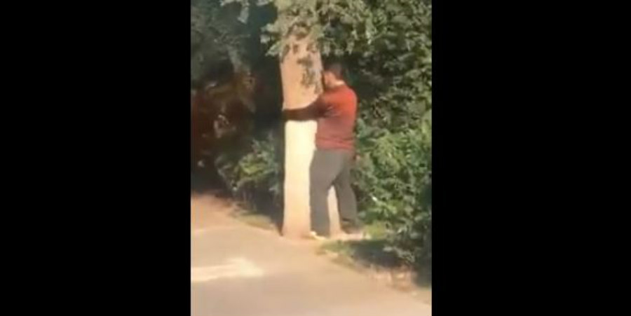 Τον τσάκωσαν να κάνει… περίεργες κινήσεις σε δέντρο! – VIDEO
