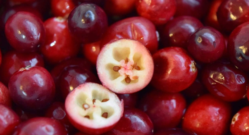 VIDEO: Ο κόσμος έμαθε πως καλλιεργούνται τα cranberries και υπόσχεται να μη δοκιμάσει ποτέ ξανά