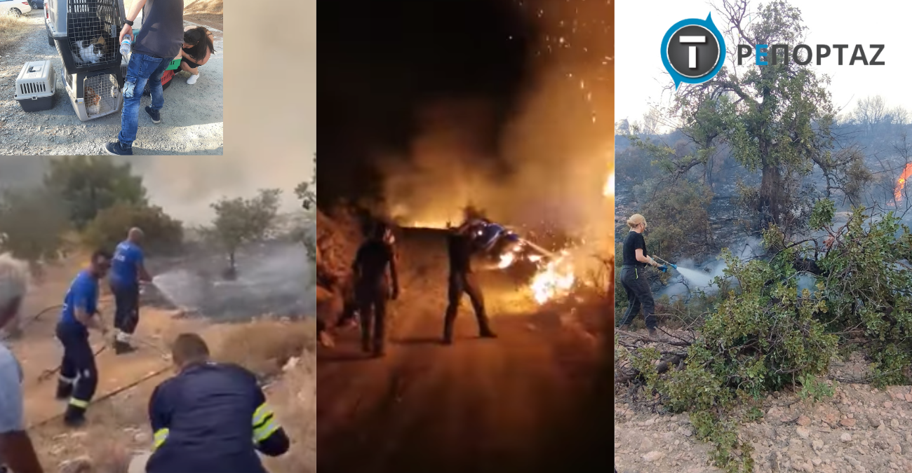 «Μαύρο τοπίο, σκυλιά σαστισμένα» - Πολίτες στη μάχη με τις φλόγες στην Άλασσα -  Κατάθεση ψυχής από εθελοντές στο «T» 